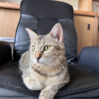 ヤンママになったヨルちゃん