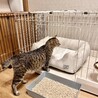 ヤンママになったヨルちゃん サムネイル4