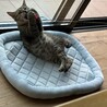 ヤンママになったヨルちゃん サムネイル6