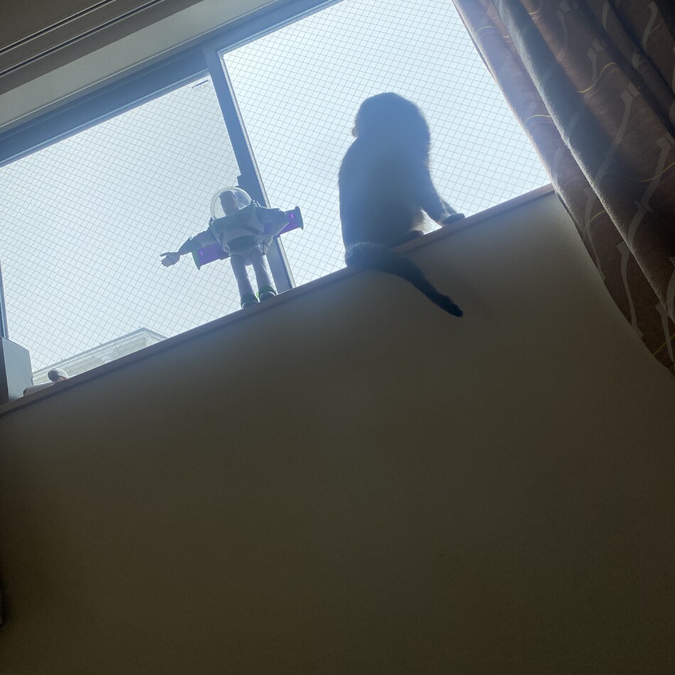 ライのカバー写真