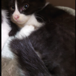  誰とでも仲良くしちゃう元気な “むいか”君