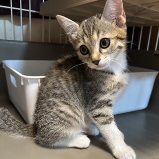 素敵なご家族と出会えました ♡マカちゃん