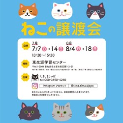 しましましっぽ譲渡会