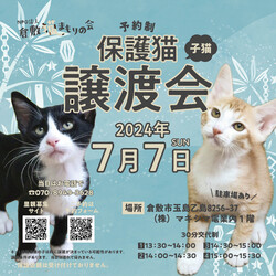 ほごっこ子猫の譲渡会（予約制）
