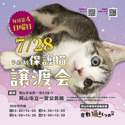 ほごっこ子猫の譲渡会（予約制）