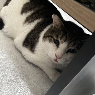 〝チャパくん〟です♪