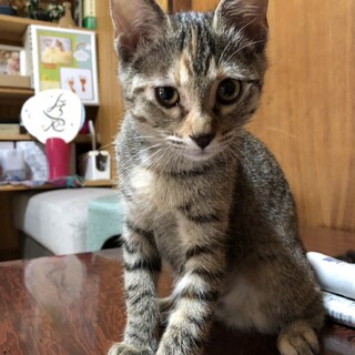 ビビりが甘えん坊になってきました☆