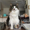 の写真