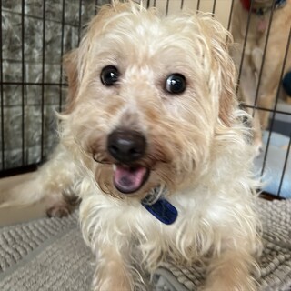 こころ　女の子