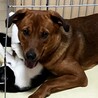 1歳半から2歳 サムネイル3