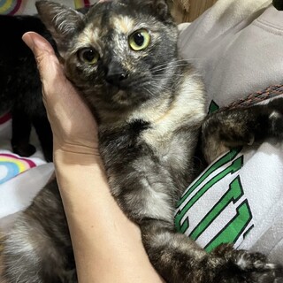 譲渡会にて里親様決定しました！