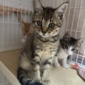 素敵な家族と出会えました