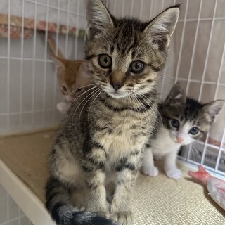 素敵な家族と出会えました