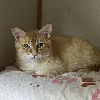 人馴れしているなつお君