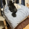 おだし　