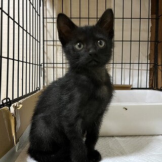 6/28更新！ちょ～甘えん坊♡