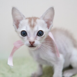 ありのままを受け入れて下さる方①