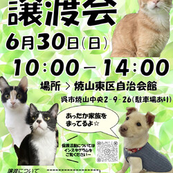保護いぬ・ねこの譲渡会