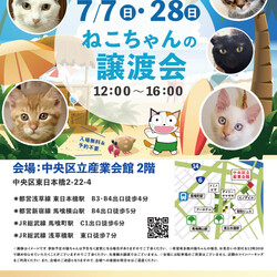 ねこざんまい譲渡会@東日本橋