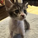 生後1日目から育てました