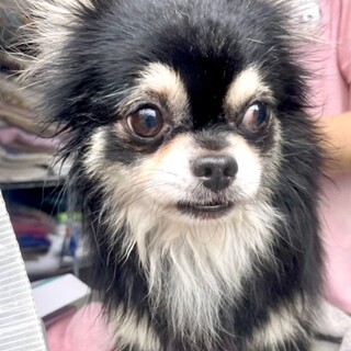 24-M156　とっても良い子！！