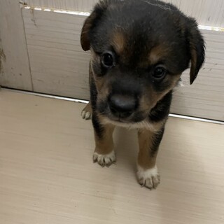 素敵なご縁がありましたテクテク可愛い女の子