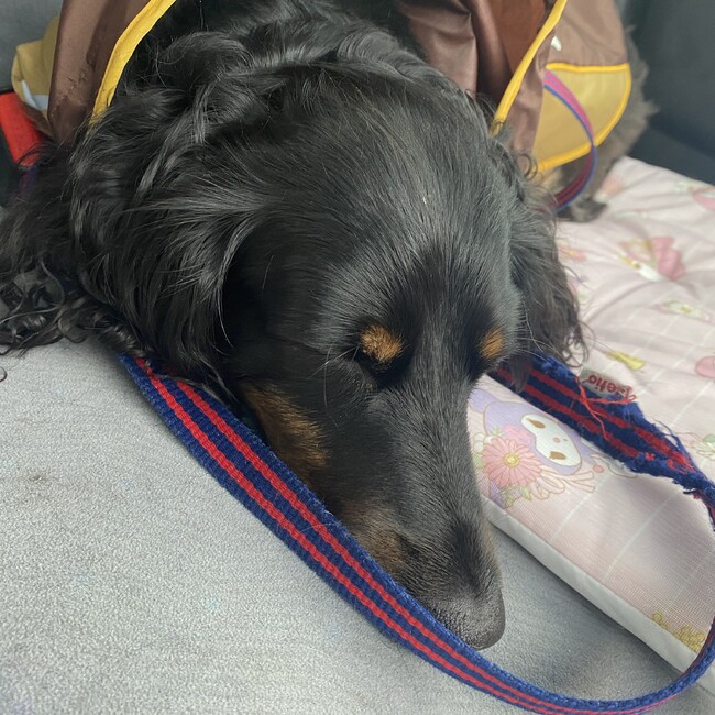 knuのカバー写真