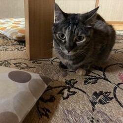 夏の始まり
