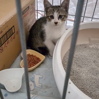 可愛がってくれる方、お待ちしてます！