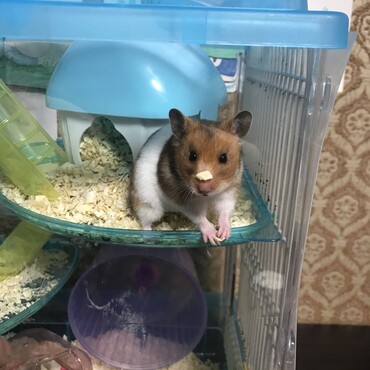の写真