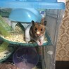 の写真