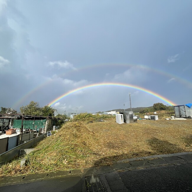 ボラ君のカバー写真