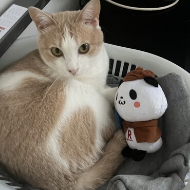 の写真