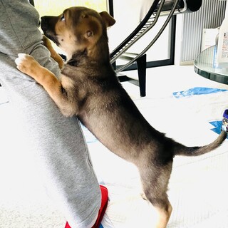 ありがとうございました！ナミ！