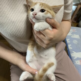 素敵なおうちが見つかりました⭐︎あやとくん