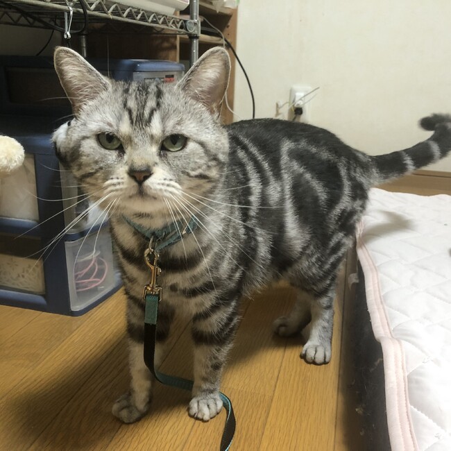 littlemy2705のカバー写真