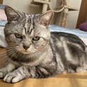 めちゃ穏やかで優しい男の子！マリンです