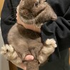 たにまり0723