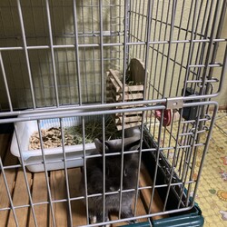 「那智のグッズ紹介　その2」サムネイル2