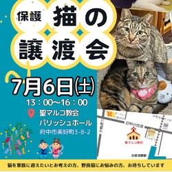 保護猫の譲渡会