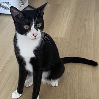 おっとりで甘えん坊な性格です