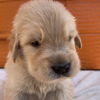 里親様が決まりました。