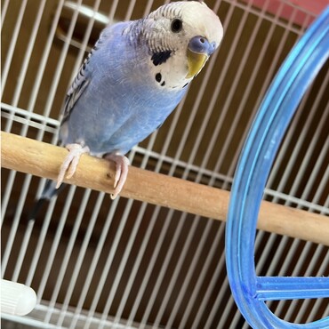 僕を嫌わないで♡お願い…