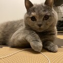 おっとら人懐こいルナちゃん