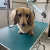 パッチリおめめの男の子！ サムネイル3