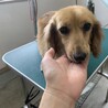パッチリおめめの男の子！ サムネイル5