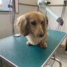 パッチリおめめの男の子！ サムネイル6