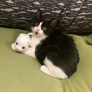 まんまるくりくり穏やかな♡べべちゃん