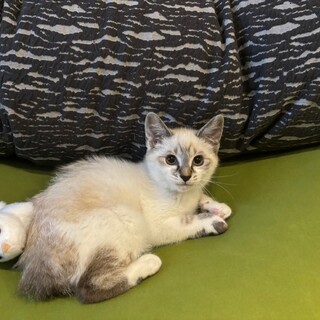 遊ぶの大好き！おちゃめな♡むーちゃん