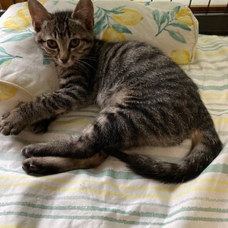 ありがとうございました★可愛らしいノリカちゃん